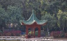 旗岭森林公园2