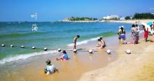 红海湾遮浪角30
