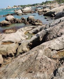 红海湾遮浪角17