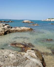 红海湾遮浪角16