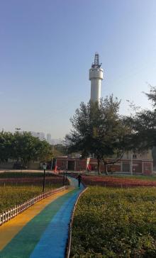 妈屿岛7