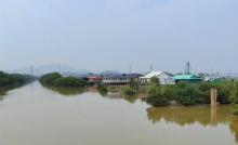 崖口红树林湿地2