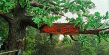 天龙山景区2