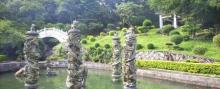 淡浮院8