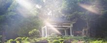 淡浮院7