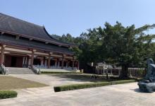 淡浮院25