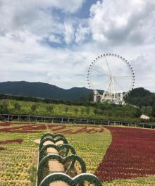 望天湖旅游度假区25