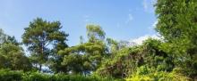 白云山6