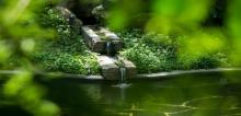 禅泉温泉8