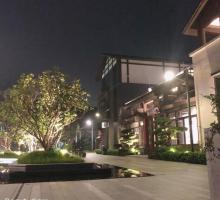 禅泉温泉26