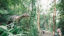 清远宝晶宫国际旅游度假区6