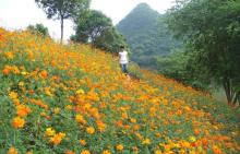 清远宝晶宫国际旅游度假区10