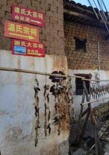 珠玑古巷26