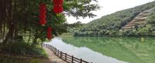 鹿湖温泉度假村8