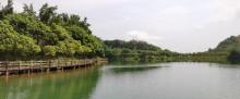 鹿湖温泉度假村6