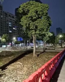 观海长廊10
