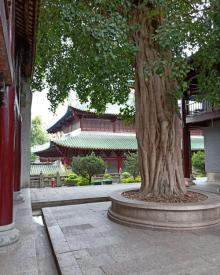 南华禅寺22