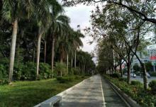 潮州西湖27