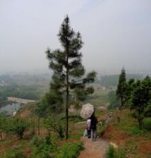 东角山4