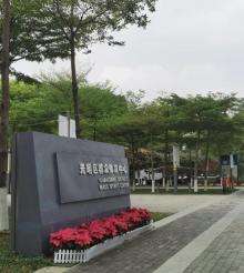 光明新区群众体育中心2
