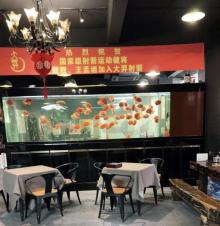大羿射箭俱乐部2