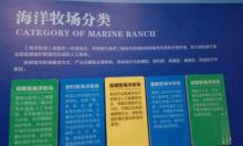 旭联海洋牧场旅游景区3