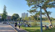 德洛雷斯公园1