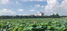 莲湖公园22