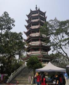 莲湖公园14