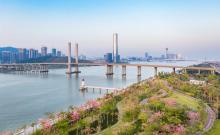 横琴花海长廊1