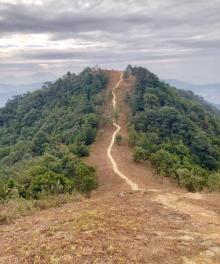 田心山4