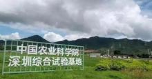 中国农业科学院深圳综合试验基地2