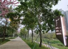 九祥岭湿地公园4