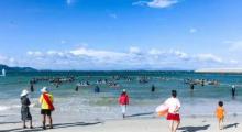 帆海汇4