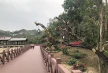 香山湖公园10