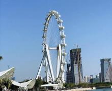 港湾公园5