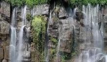 峡湾森林2
