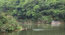 雅宝公园8