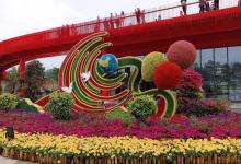 大亚湾板樟岭公园3