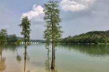 凤岗南门山森林公园9