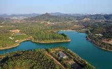 凤岗南门山森林公园1