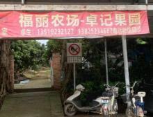 福丽农场・卓记果园1
