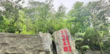 望牛亭公园4