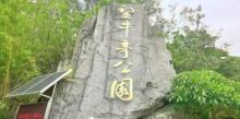 望牛亭公园6