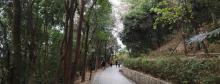 望牛亭公园2
