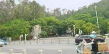 望牛亭公园10