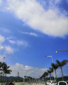 红树林保护区16