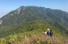 排牙山8