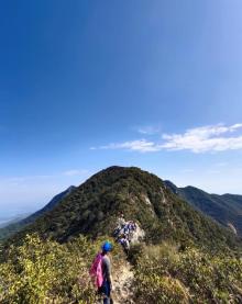 排牙山4