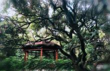 荔林公园5